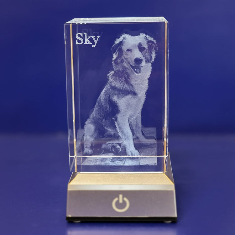 Mascotas en Cristal 3D - Barcelona Crystal
