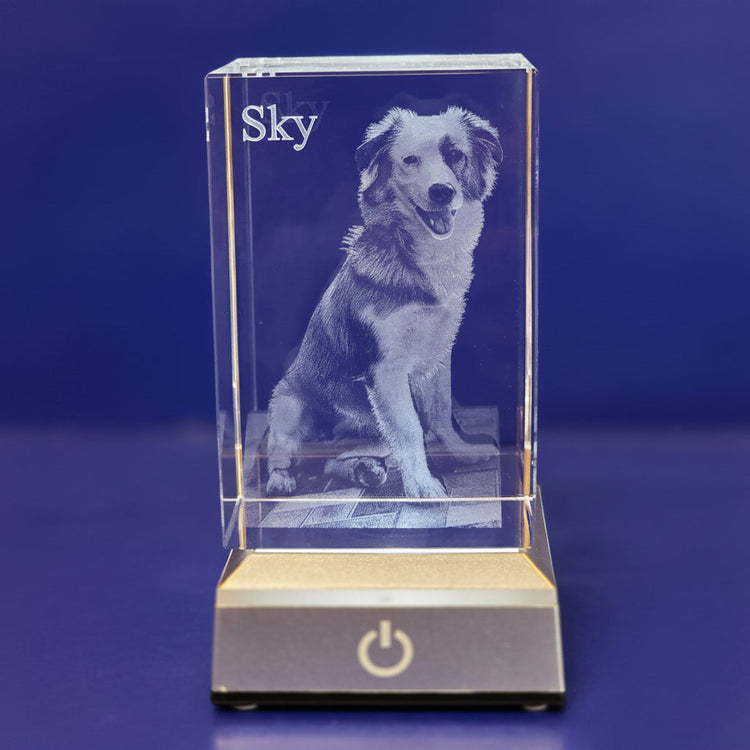 Mascotas en Cristal 3D