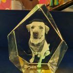 DIAMANTE GRANDE – INCLUYE BASE LUMINOSA