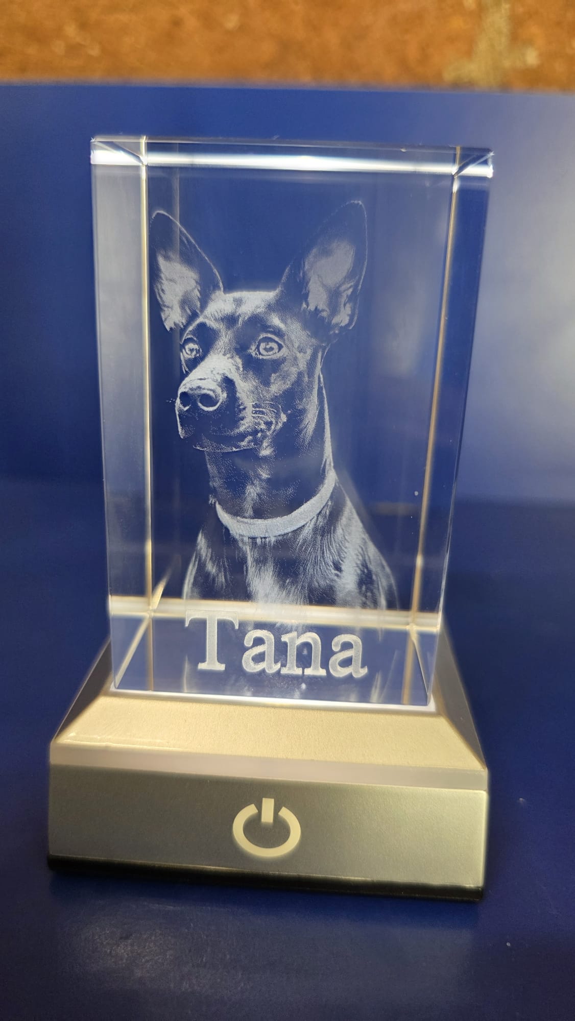 Bloque de cristal con grabado láser 3D personalizado de un perro, sobre una base luminosa con el nombre Tana
